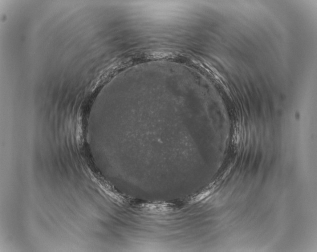 X0000087020524200704301317