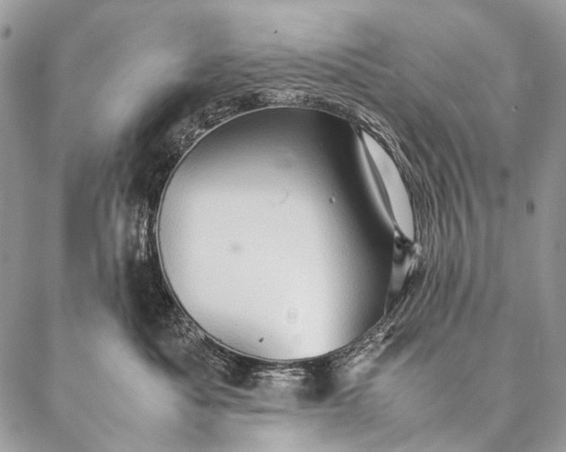 X0000087020525200704301317