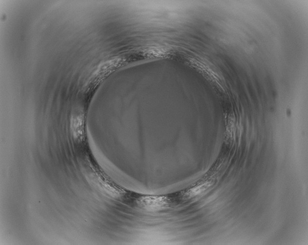 X0000087020526200704301317