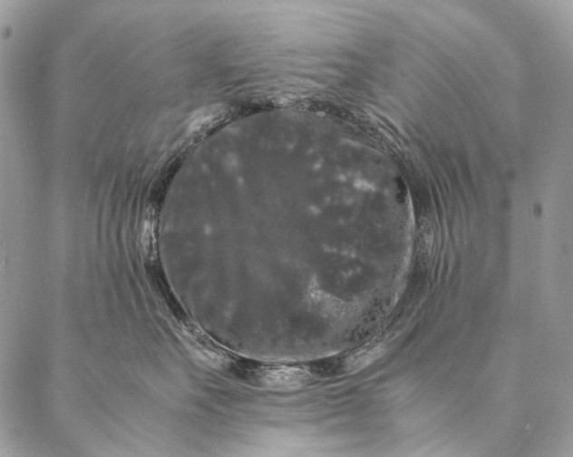 X0000087020527200704301317