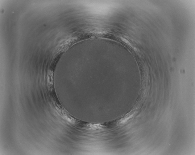 X0000087020528200704301317