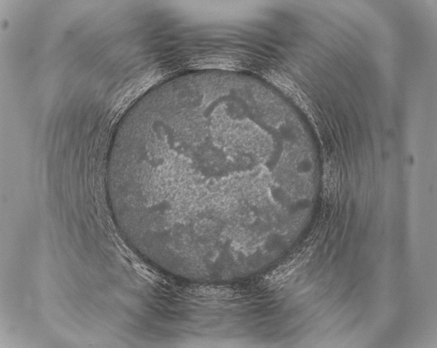 X0000087020529200704301316