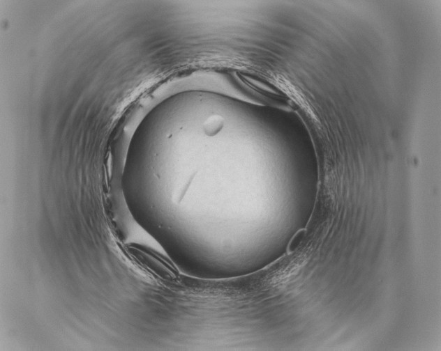 X0000087020530200704301316