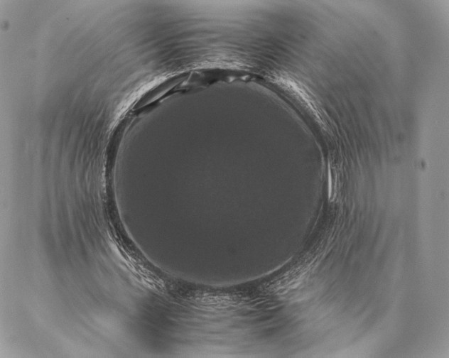 X0000087020531200704301316