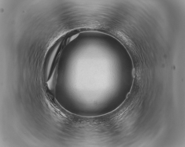 X0000087020532200704301316