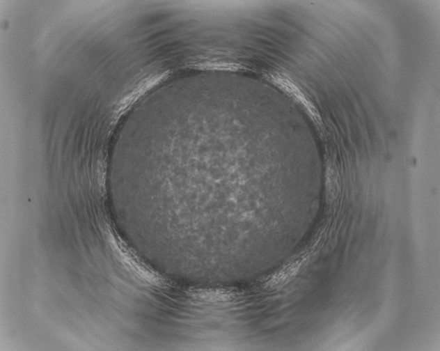 X0000087020533200704301316