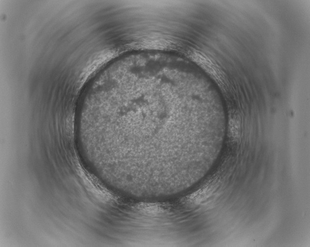 X0000087020534200704301316