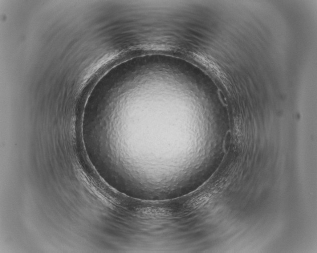 X0000087020535200704301316