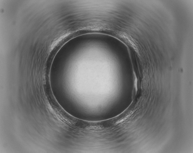 X0000087020536200704301317