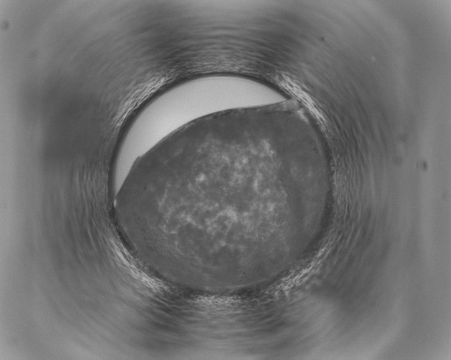 X0000087020537200704301317