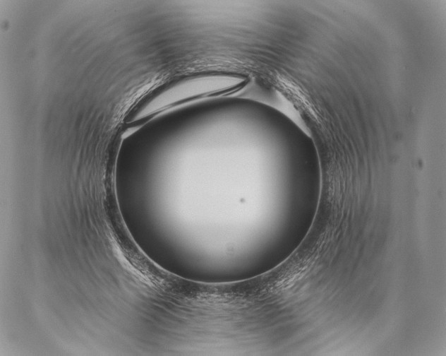 X0000087020538200704301317