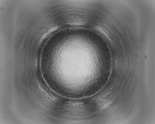 X0000087020539200704301317