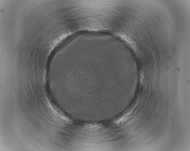 X0000087020540200704301317