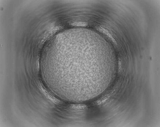 X0000087020541200704301317