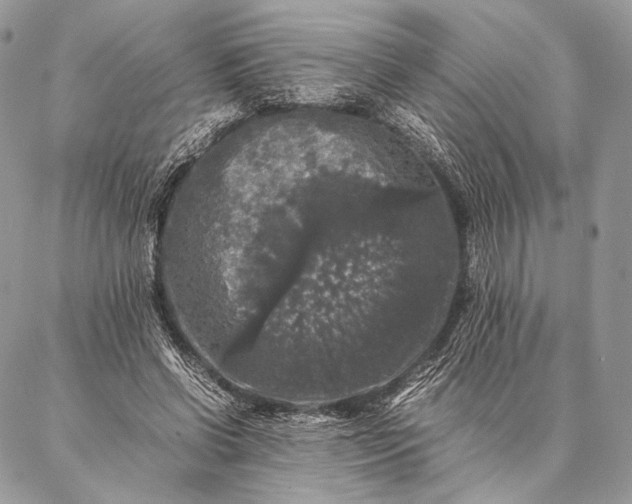 X0000087020542200704301317