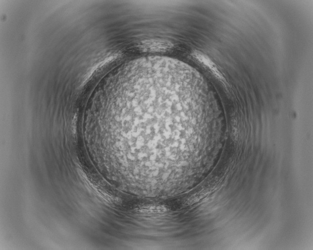 X0000087020543200704301317