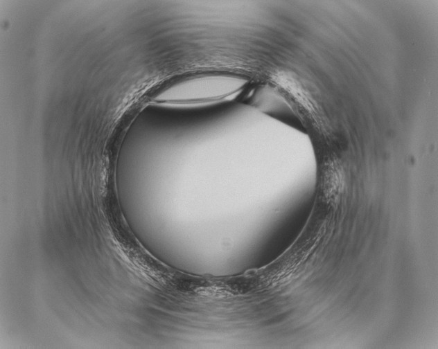 X0000087020544200704301317