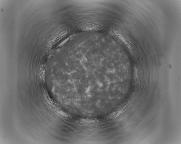 X0000087020545200704301317