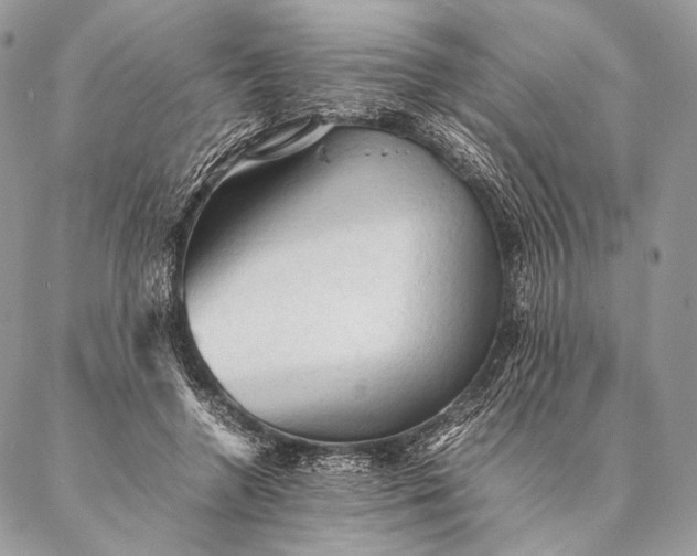 X0000087020546200704301317