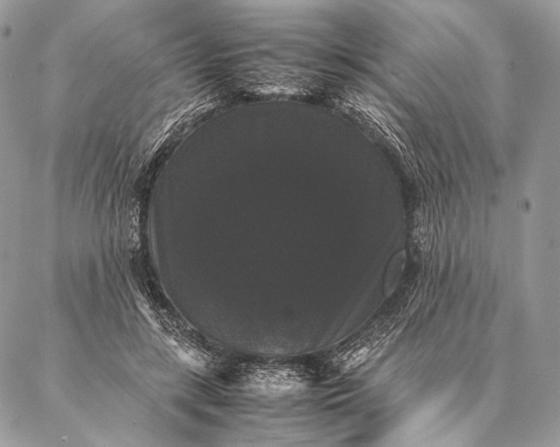 X0000087020547200704301317