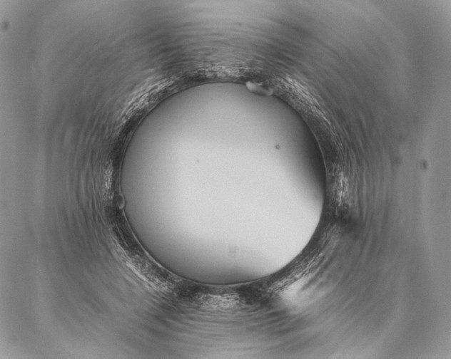 X0000087020548200704301317