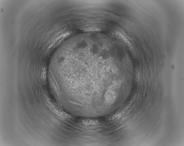 X0000087020549200704301317