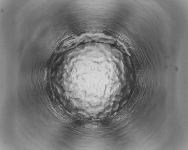 X0000087020550200704301317