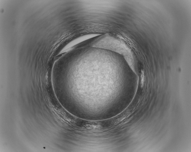 X0000087020552200704301317