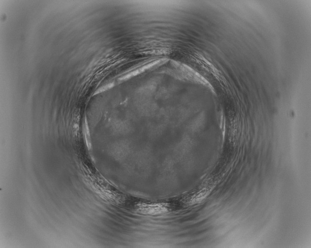 X0000087020553200704301317