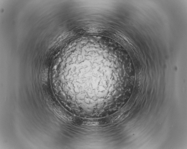 X0000087020554200704301317