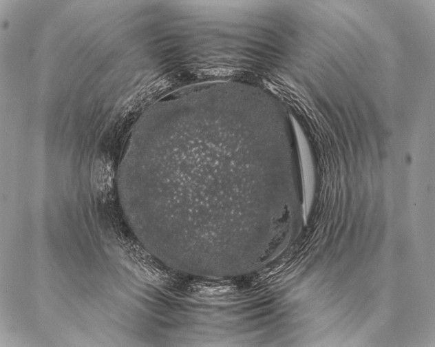 X0000087020555200704301317