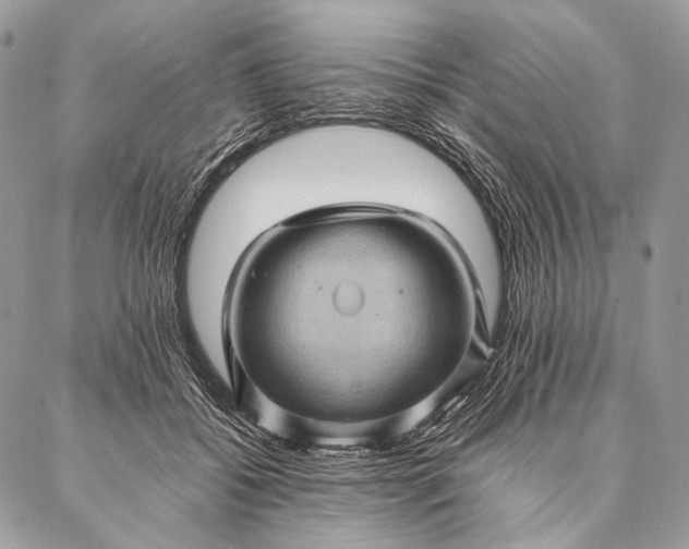 X0000087020556200704301317