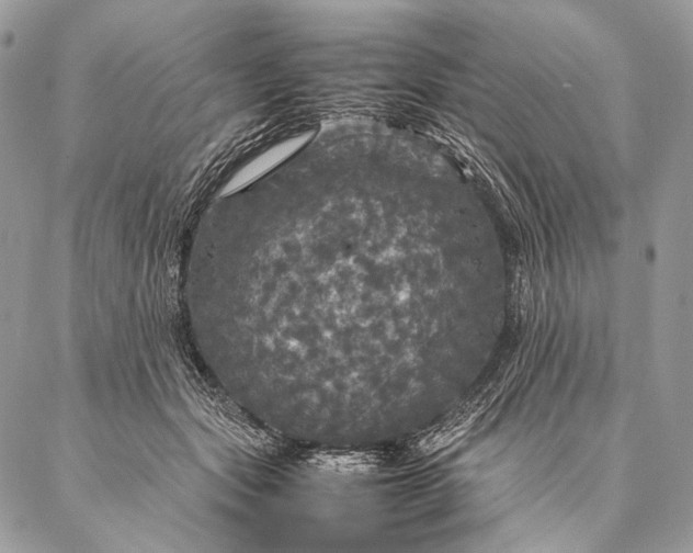 X0000087020557200704301317