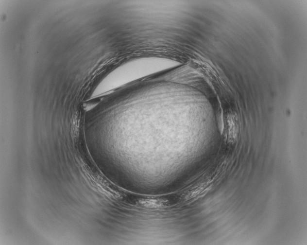 X0000087020558200704301317