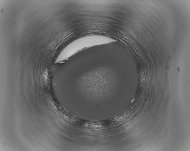 X0000087020559200704301317