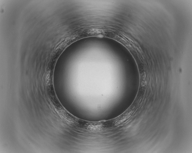 X0000087020560200704301317