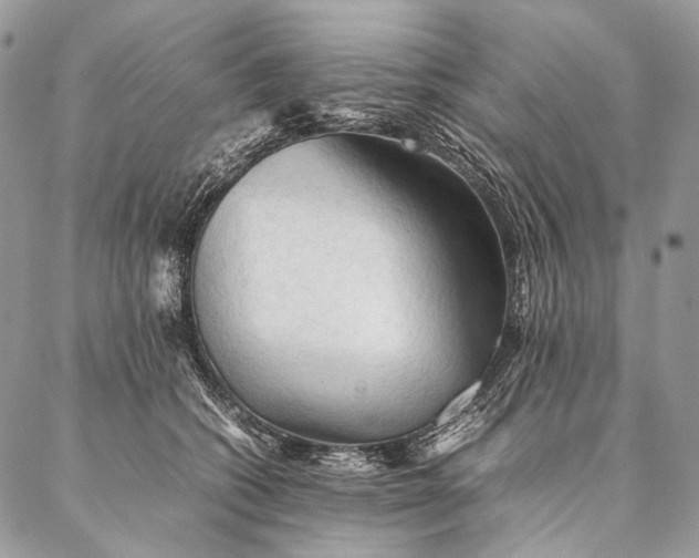 X0000087020562200704301317