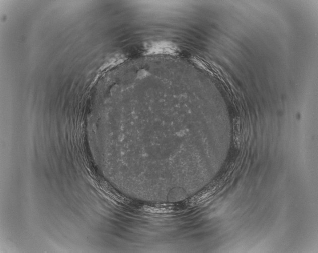 X0000087020563200704301317