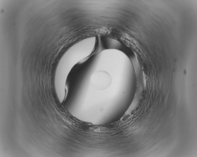 X0000087020564200704301317