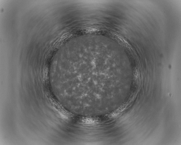 X0000087020565200704301317