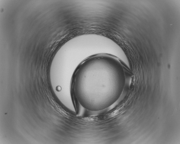 X0000087020566200704301317