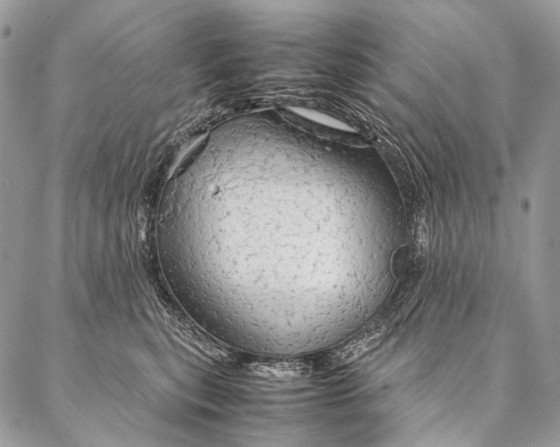 X0000087020567200704301317