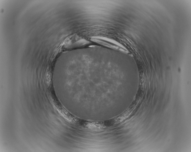 X0000087020568200704301317