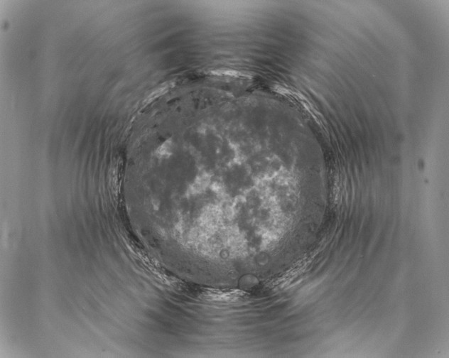 X0000087020569200704301317