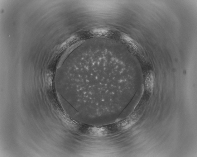 X0000087020570200704301317