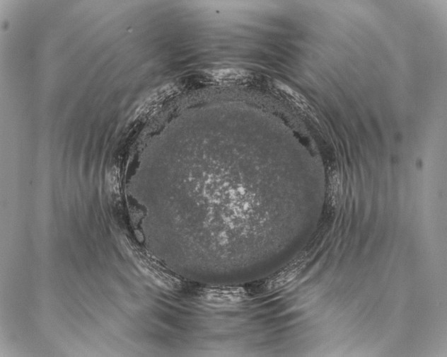 X0000087020571200704301317