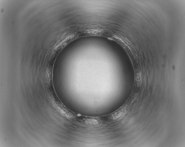 X0000087020572200704301317