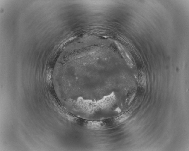 X0000087020573200704301317