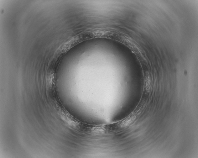 X0000087020574200704301317