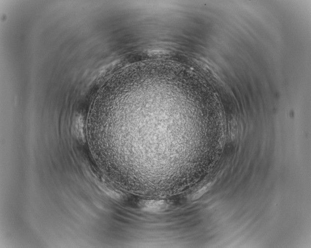 X0000087020575200704301317